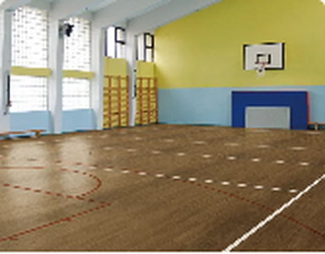 LG Leisure indoor sports flooring